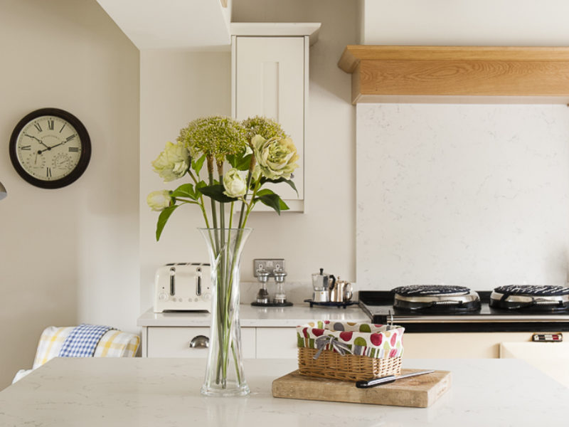 cottage kitchen with blue island and houseplants